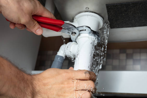 Best Water damage cleanup near me  in Irvington, KY