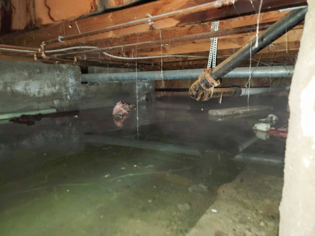  Irvington, KY Water damage restoration Pros