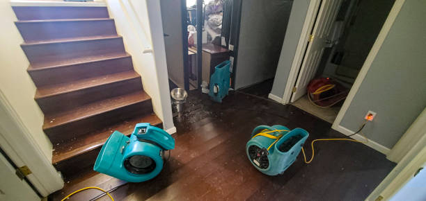 Best Residential water damage restoration  in Irvington, KY