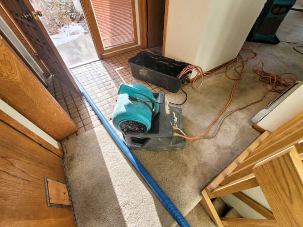 Trusted Irvington, KY Water damage restoration Experts
