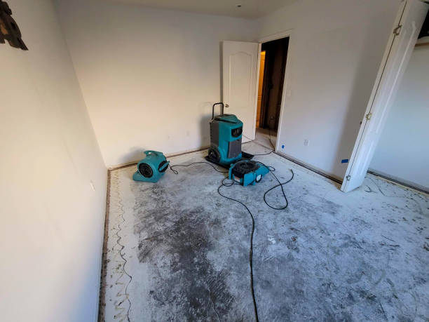 Best Sewage cleanup and water damage restoration  in Irvington, KY