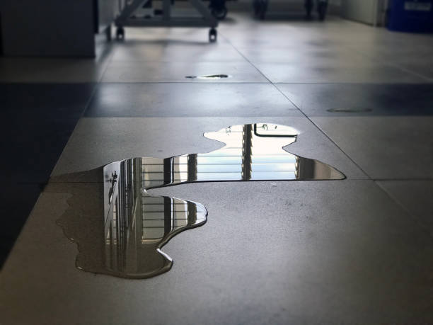 Best 24/7 water damage repair  in Irvington, KY