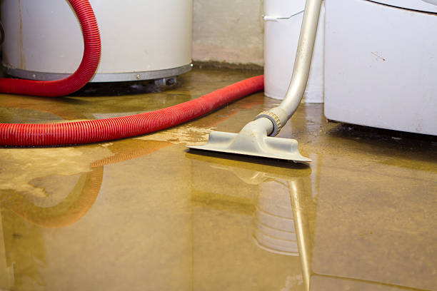 Water damage restoration insurance claims in Irvington, KY