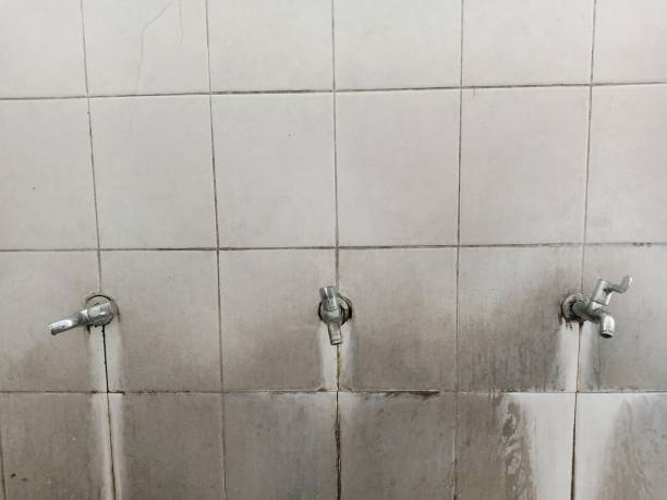 Best Water damage restoration specialists  in Irvington, KY