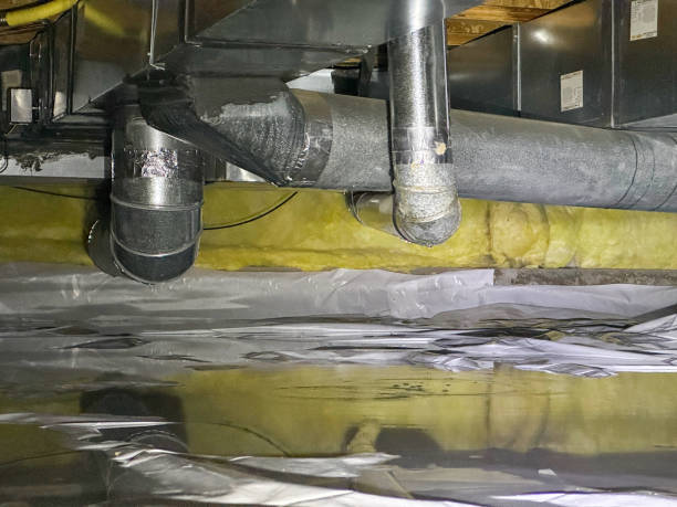 Best Water damage contractors near me  in Irvington, KY