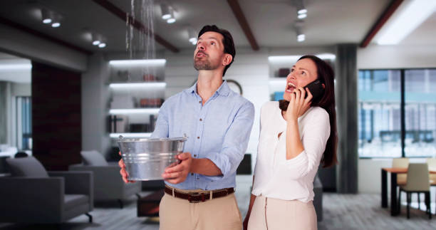 Best 24/7 water damage repair  in Irvington, KY